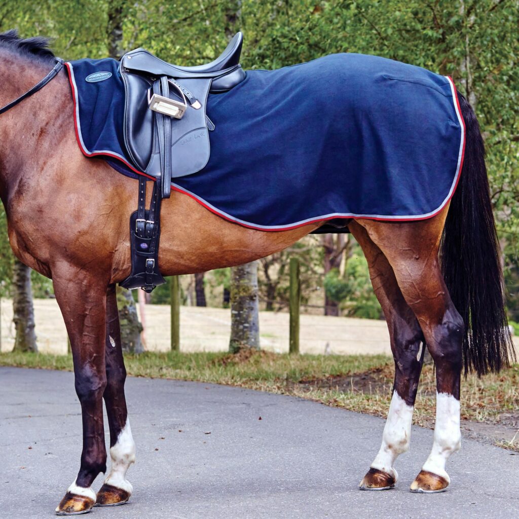 Weatherbeeta Fleece Exercise Sheet Iron Horse