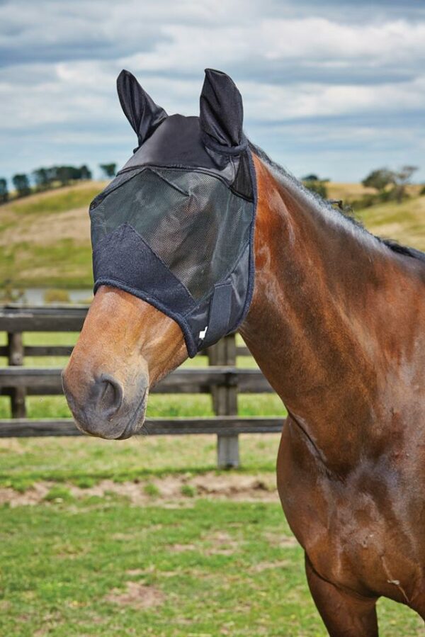Weatherbeeta Fly Mask Iron Horse