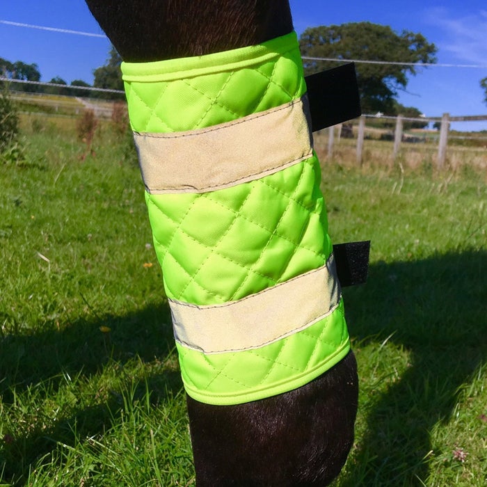 Equisafety Reflective Horse Wear Quilted Leg Boots Iron Horse